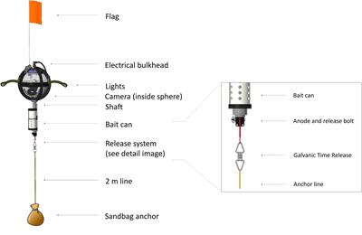 The National Geographic Society Deep-Sea Camera System: A Low-Cost Remote Video Survey Instrument to Advance Biodiversity Observation in the Deep Ocean